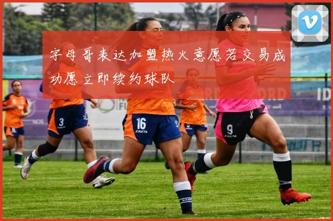 字母哥表达加盟热火意愿若交易成功愿立即续约球队