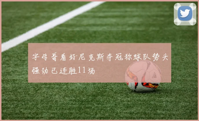 字母哥看好尼克斯夺冠称球队势头强劲已连胜11场