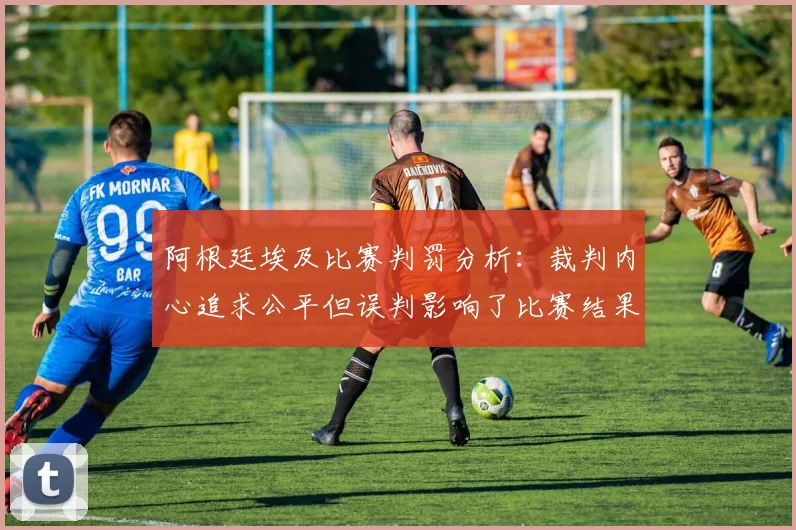 阿根廷埃及比赛判罚分析：裁判内心追求公平但误判影响了比赛结果