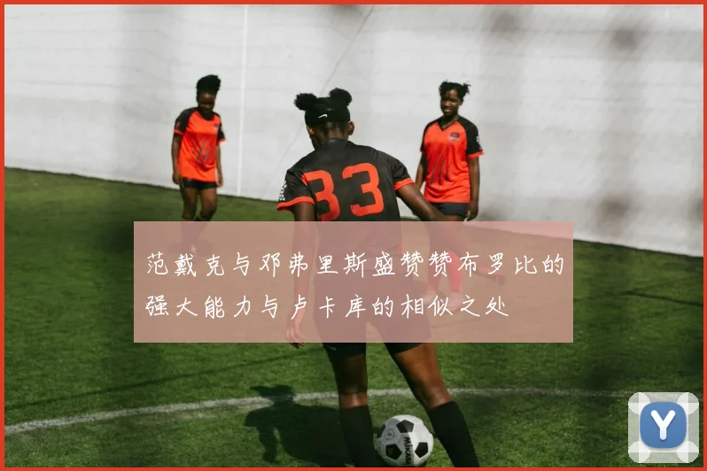 范戴克与邓弗里斯盛赞赞布罗比的强大能力与卢卡库的相似之处